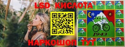 индика Гатчина