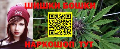 индика Гатчина