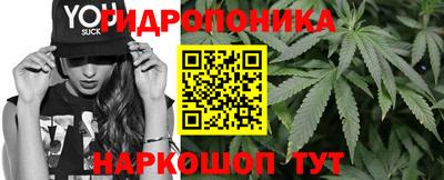 индика Гатчина