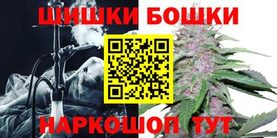 индика Гатчина