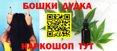 индика Гатчина