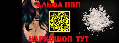 индика Гатчина