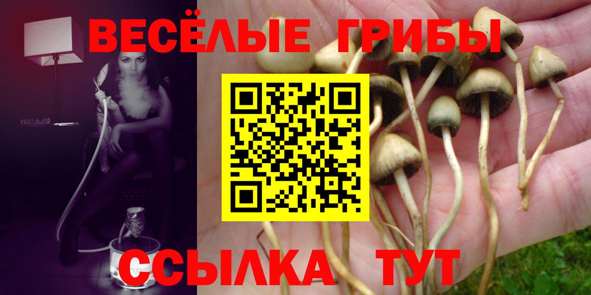 Мыски  наркотики  Вход с VPN  Галлюциногенные грибы прущие грибы 